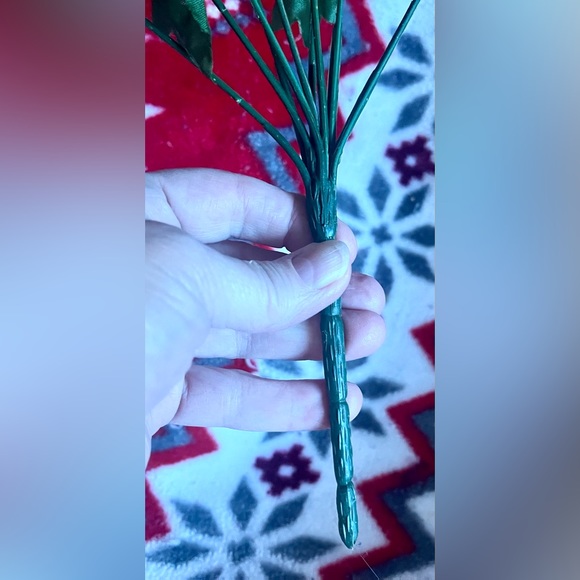 1 poinsettias red plant Christmas - Picture 7 of 13